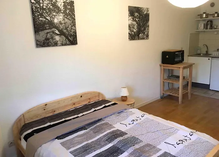 Apartament Arboles Chambéry